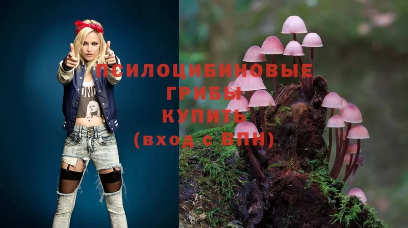 гидра ONION  Волгореченск  Псилоцибиновые грибы Magic Shrooms  где купить наркотик 